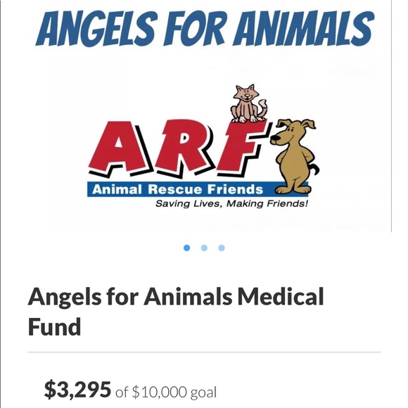 15% of my sales go to: Berea Animal Rescue & Angels for Animals Medical Fund 🐾 - Picture 10 of 17